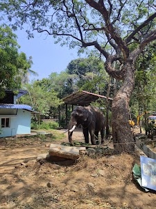 Elephant Kotta, Guruvayoor