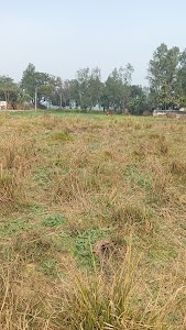 Kerhi