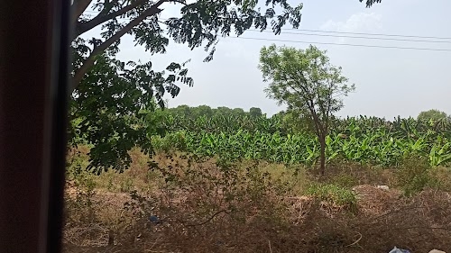 Kavitgaon