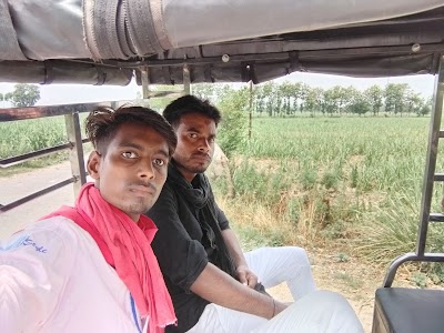 Modern dhanju farm