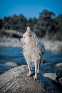 Eaching photography