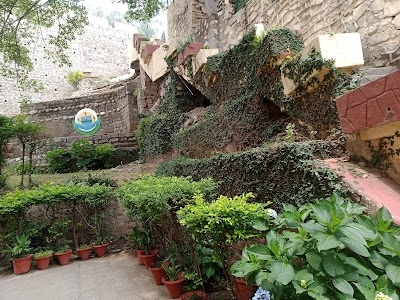 DAV Public School