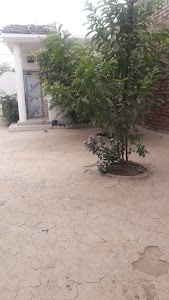 Arsh home