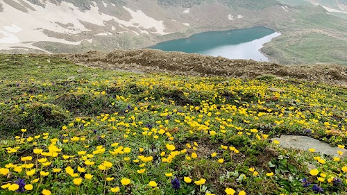 Frozen Lake Glacier