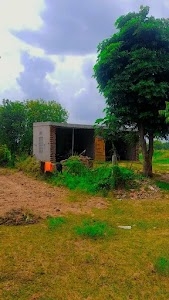 Kalyan Shai meena