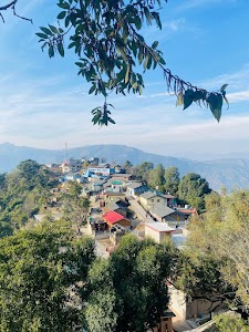 Dimau