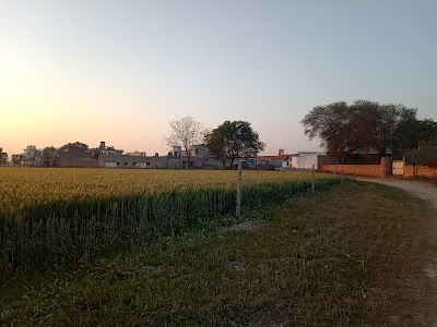 Faridke