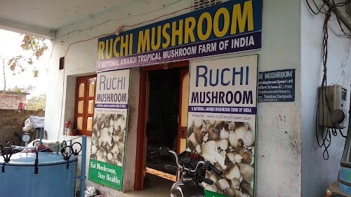 Ruchi Mushrooms