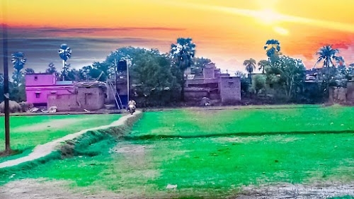 Batani