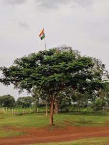 Kareli