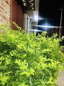 Shamima home