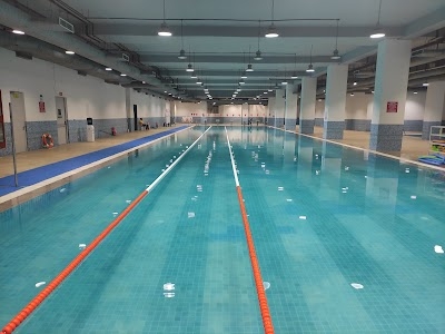 Fitso Sector 43 Gallant, Multi-Sports