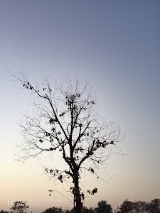 Motiwada
