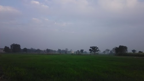 Bhudia