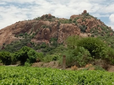 MahaLingam Siva Temple