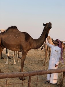 محل تركي الخالدي