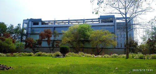 Sector 81