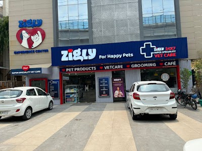 Zigly | Kailash Colony
