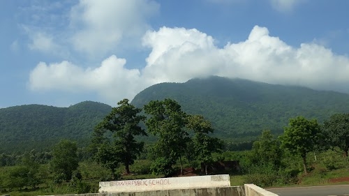 Tomka Forest Block