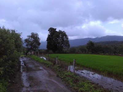 Shilimb