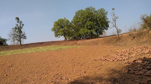 Gadwani