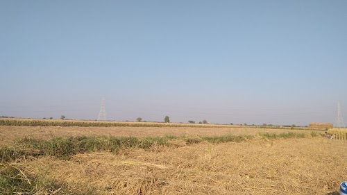 Padra