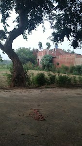 Shehpur