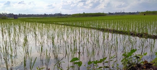 Sayrapur