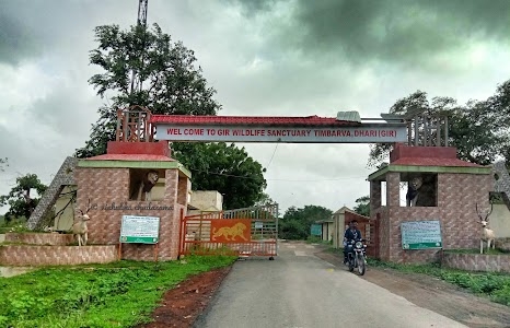 Gir Wildlife Sanctuary, Timbarva