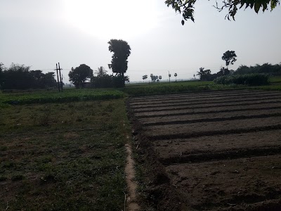 Sodpur