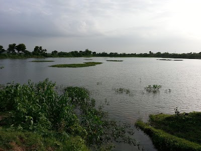 Nikoda