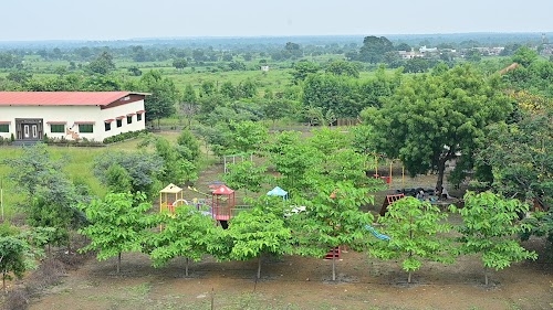 Strawberry Farm Nagpur