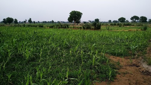 Kheri Kalan, Sector 84