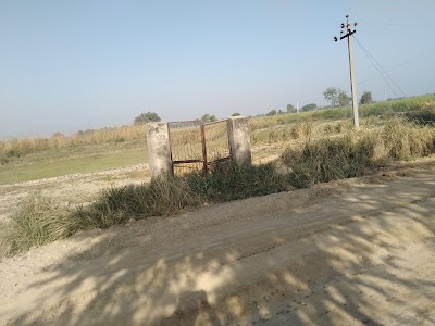 Manipur Sameriya