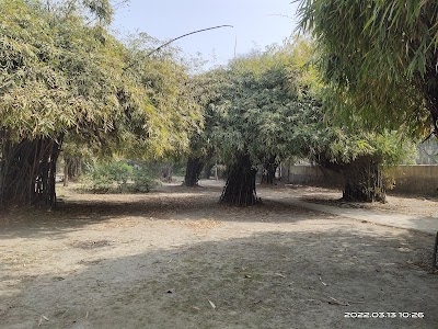 Bamboo Park