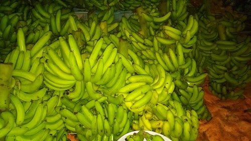 Sikhari
