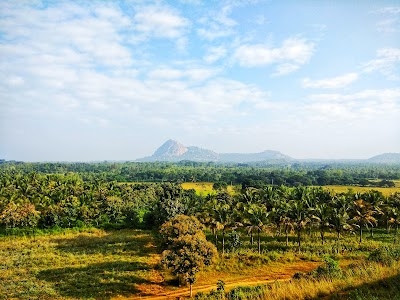 Narasandra