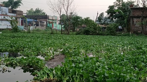 Puddle(पोखर)
