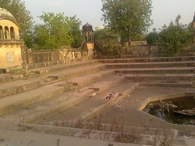 Todi College
