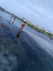 Pilua