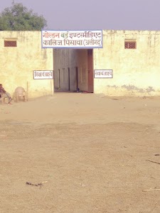 गोल्डन बर्ड इंटरमीडिएट कॉलिज पिसावा