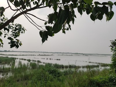 Dhanaha