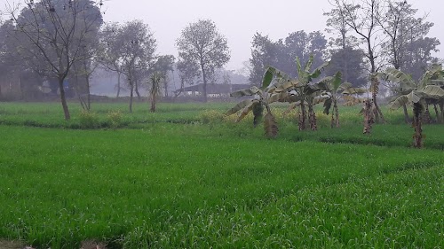 Amar Jan Sewa Kendra-Kusumhi Chauraha-Siddharthanagar