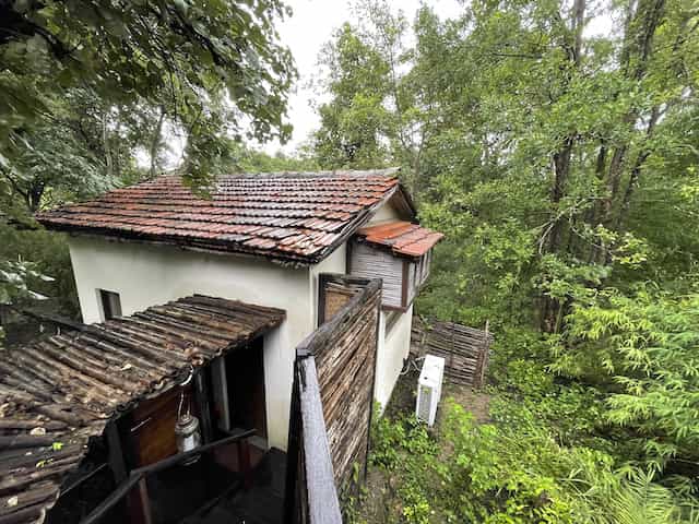 Baghvan, Taj Safari - Pench National Park