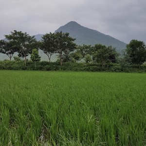 Deypur