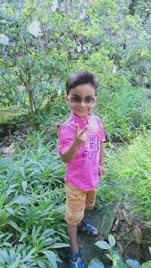 BISWAS I. S. A. NETWORK