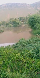 Nadanheri