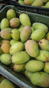 मिथिला फ़्रूट संतोष सहनी