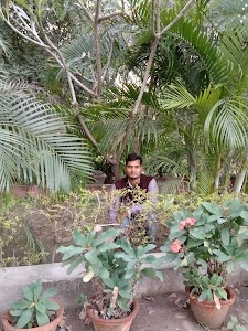 Andawa chauraha