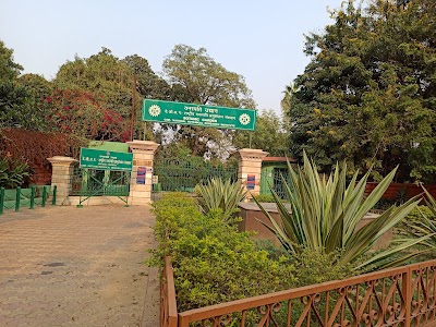 Botanical Garden, Lucknow